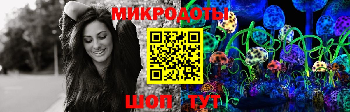 Галлюциногенные грибы Cubensis Воркута